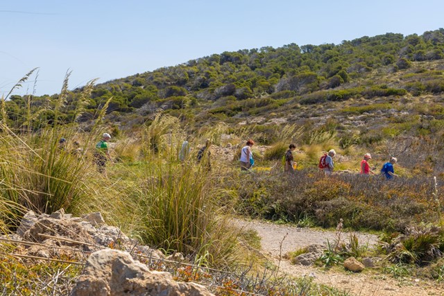 Wandel 4 Daagse Marbella, Wandelaars Natuur Heuvel