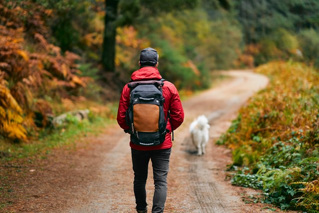 man wandelt in de natuur met een rugzak en een hond.