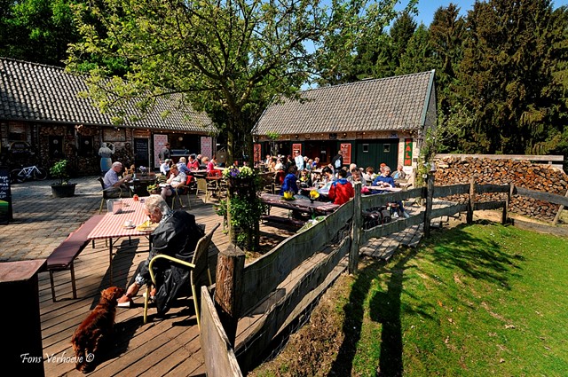 Hijgend Hert in Vijlen