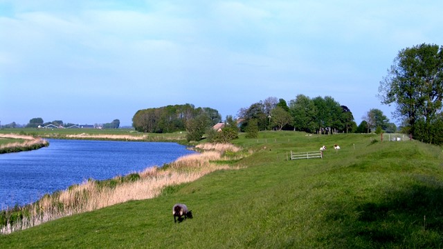 Het Reitdiep