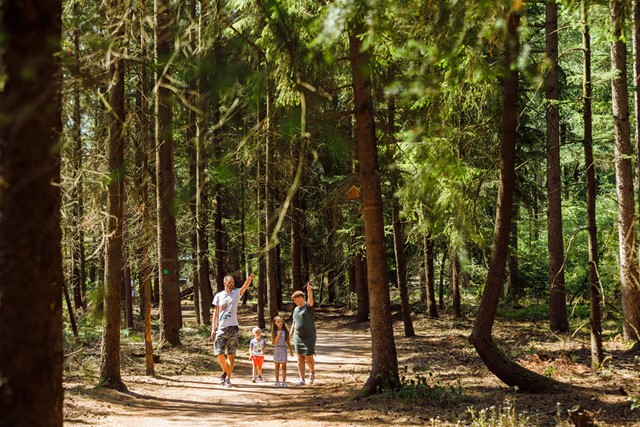afbeelding van wandelaars in het bos bij RCN De Jagerstee.