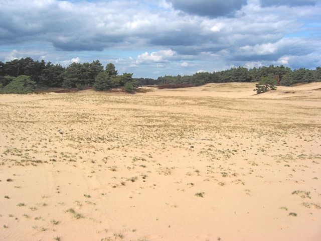 Het Wekeromse Zand