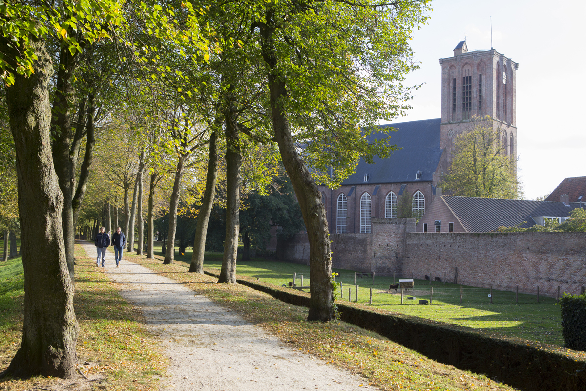 afbeelding van wandelaars op de stadswal van Elburg.