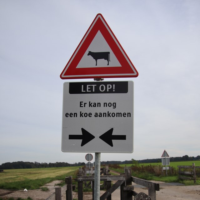 Bordjes en markeringen tijdens het wandelen; let op koeien