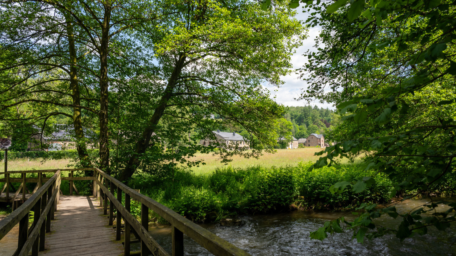 Wandelroute Wallonië Het 'Boekendorp' Redu