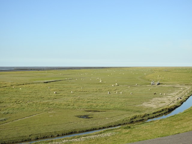 Wandelroute Westpolder Kwelder