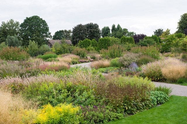 afbeelding van het Maximapark in het groen.