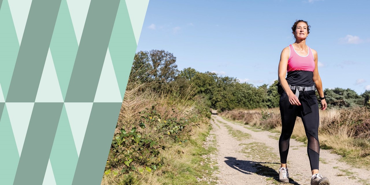 afbeelding van langeafstandswandelaar