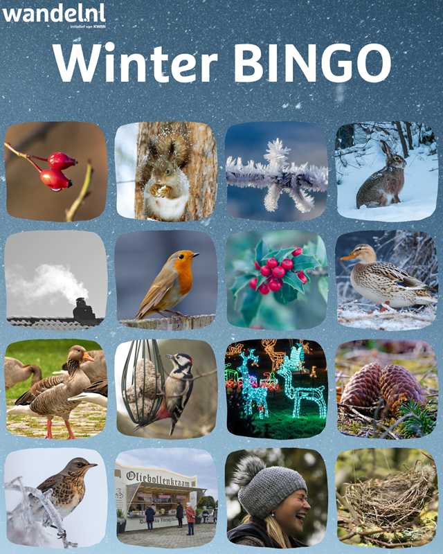Bingo
