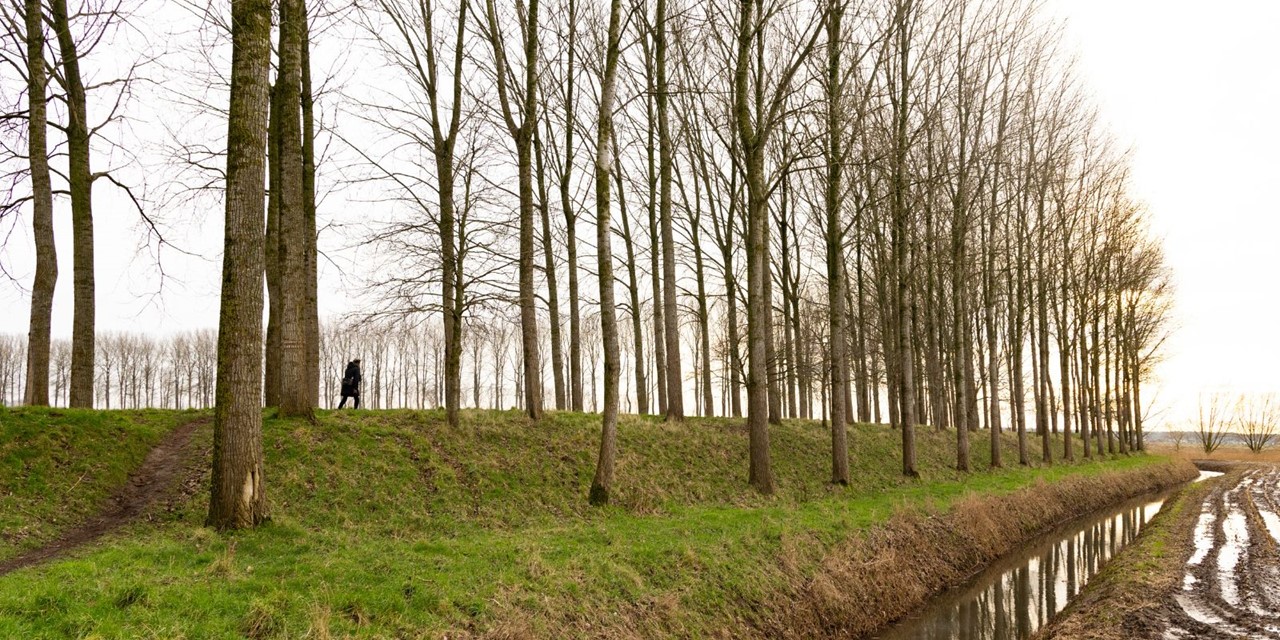 In Het Spoor Van Reynaert De Vos