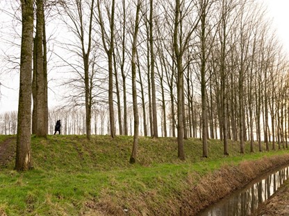 In Het Spoor Van Reynaert De Vos
