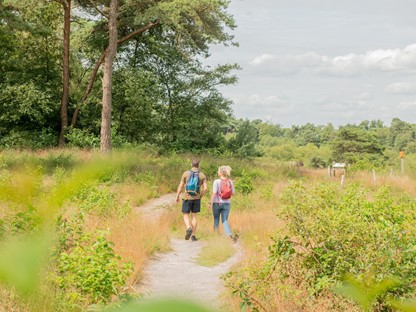Oranje Nassaupad (2)