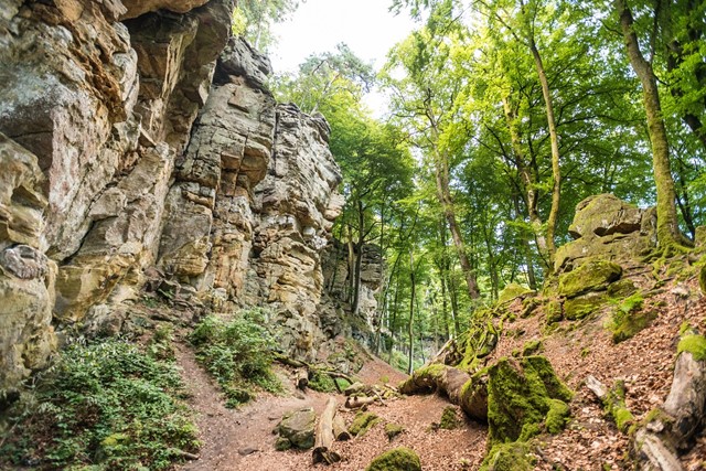 Rijnland 