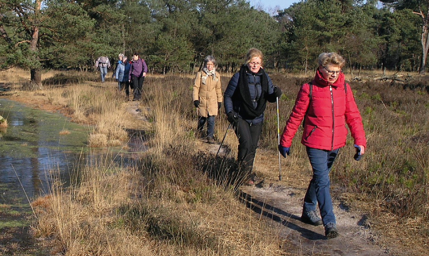 netwerkwandelen Hart van Brabant