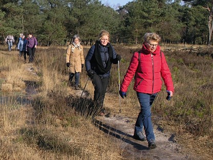 netwerkwandelen Hart van Brabant