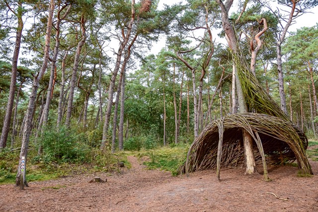 Bosland het grootste avonturenbos van Vlaanderen: vlechtkunstwerk door Will Beckers
