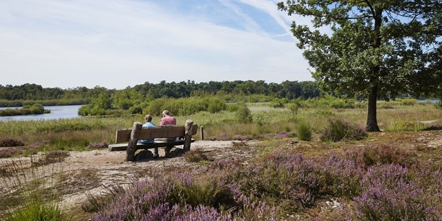 NS wandelroute Kampina