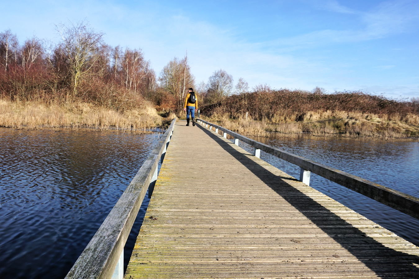 afbeelding van een vlonderpad in de Dintelse Gorzen