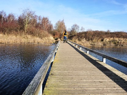 afbeelding van een vlonderpad in de Dintelse Gorzen