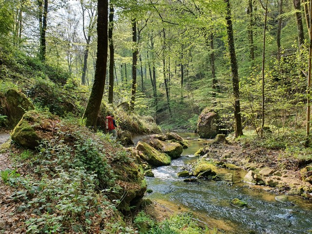 Stuk van de route van GR5