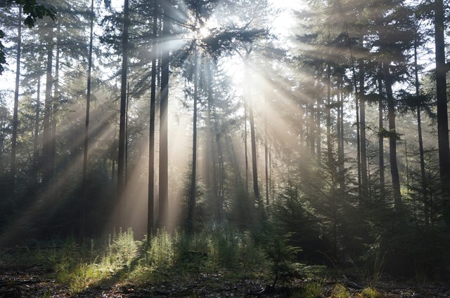 Robin Van Holst D2sqc6enhzc Unsplash