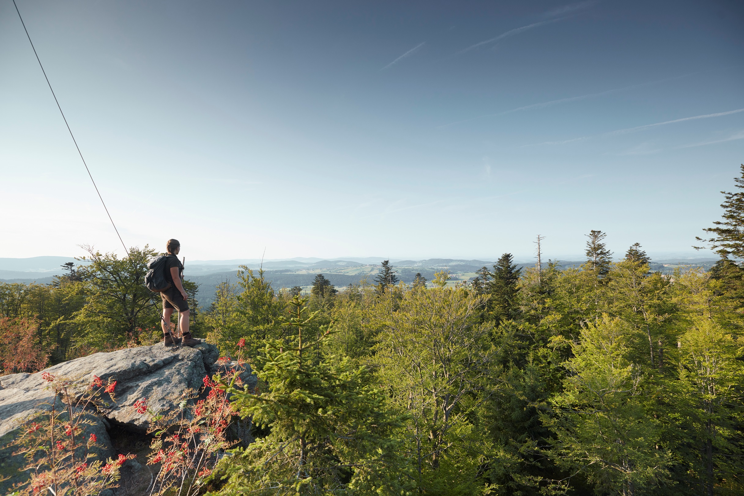 Nationaal Park Beierse Woud