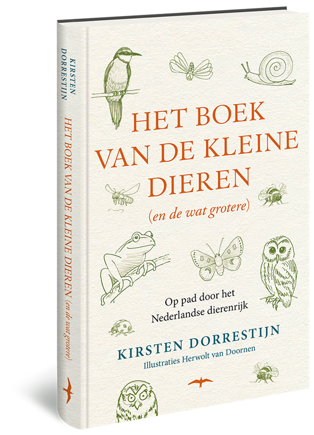 Afbeelding van het boek