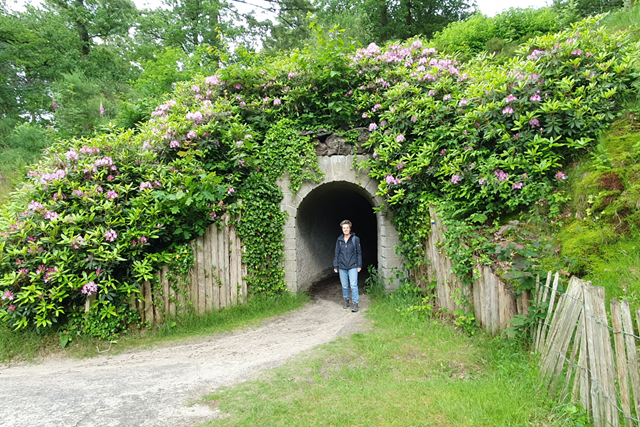 NS Wandeling Utrechtse Heuvelrug Station Heidestein Bornia