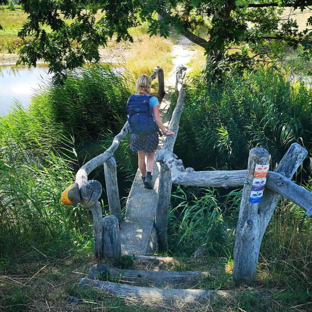 Dit zijn de mooiste Klompenpaden in Gelderland, onder andere over vlonderpaadjes