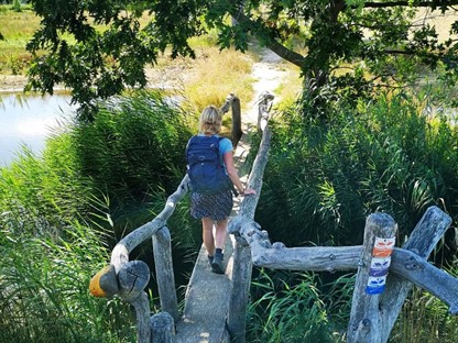 Dit zijn de mooiste Klompenpaden in Gelderland, onder andere over vlonderpaadjes