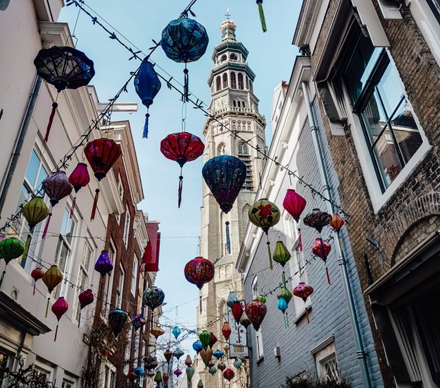 Reigerstraat Middelburg