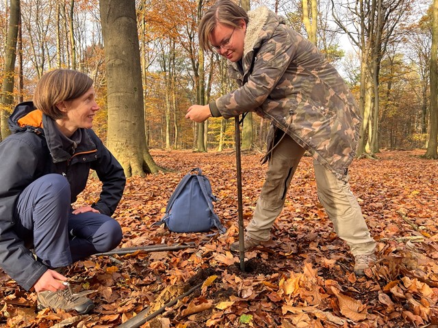 op-pad-met-pro-landschapsarcheoloog-eva-kaptijn