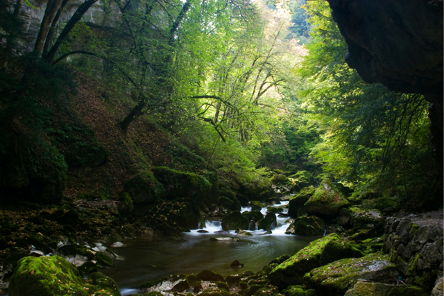 De 8 Mooiste Wandelplekken In Zwitserland Avontuur In De Areusekloof