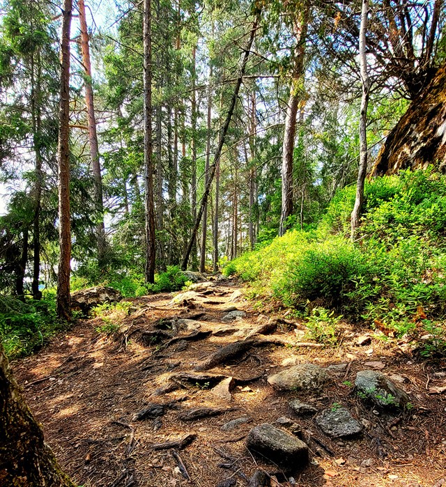 Tyresta National Park