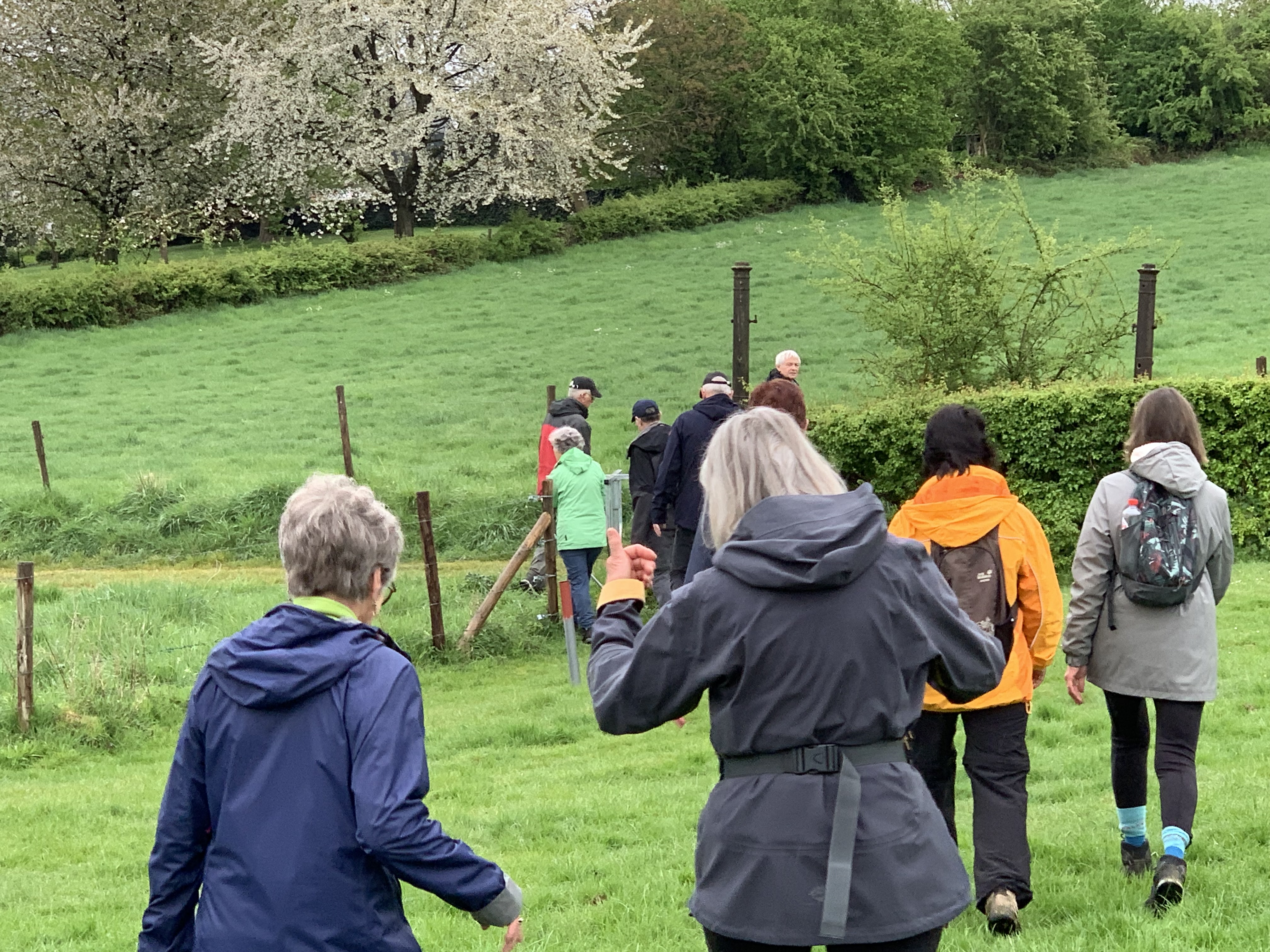 Jacques Janssen Header