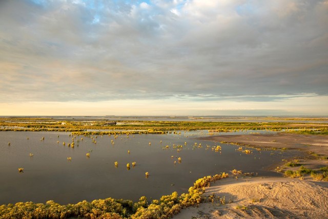 Strandwandelingen maar dan anders; Marker Wadden
