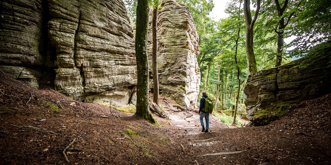 afbeelding van een wandelaar op de Mullerthal Trail.