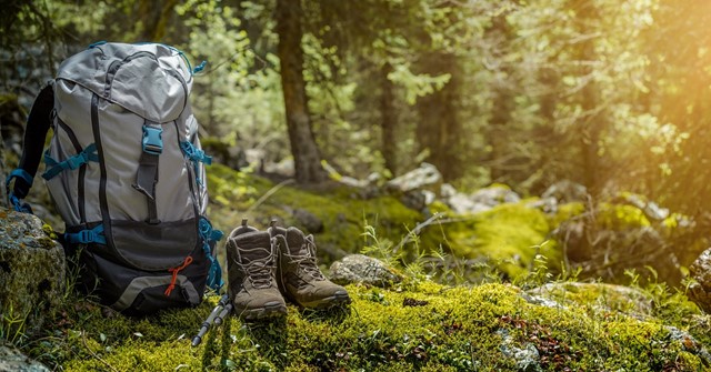Rugzak en wandelschoenen in het bos