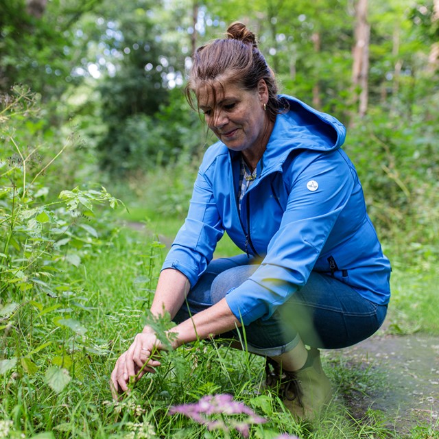afbeelding van Yvette van Boven die aan het wildplukken is.