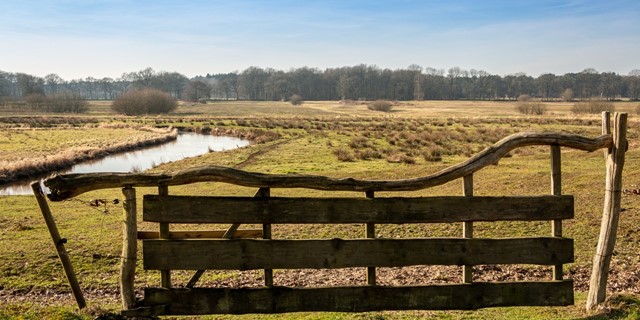Wandelroute Drentsche Aa Oerlandschap Van Gogh