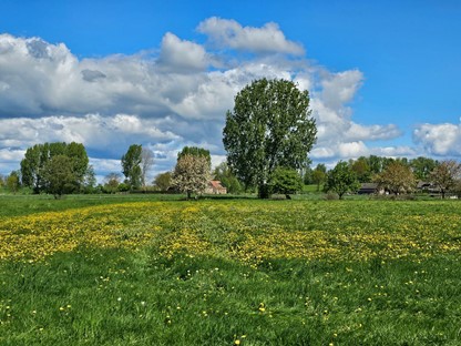 Wandelroute Buitengebied Beuningen En Ewijk Het Doddendaelpad: Omgeving doddendaelpad