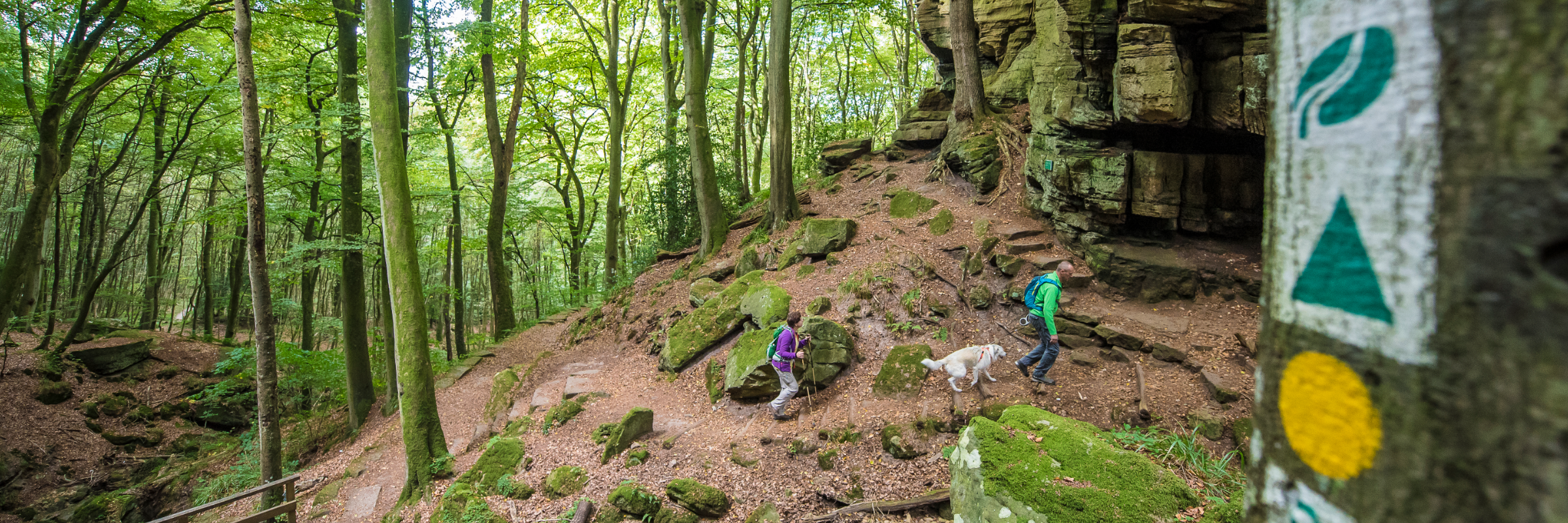 Natuurlijk wandelen in Luxemburg - Mullerthal Trail © Pulsa Pictures