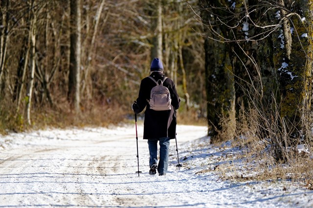 Wandelaar in de sneeuw
