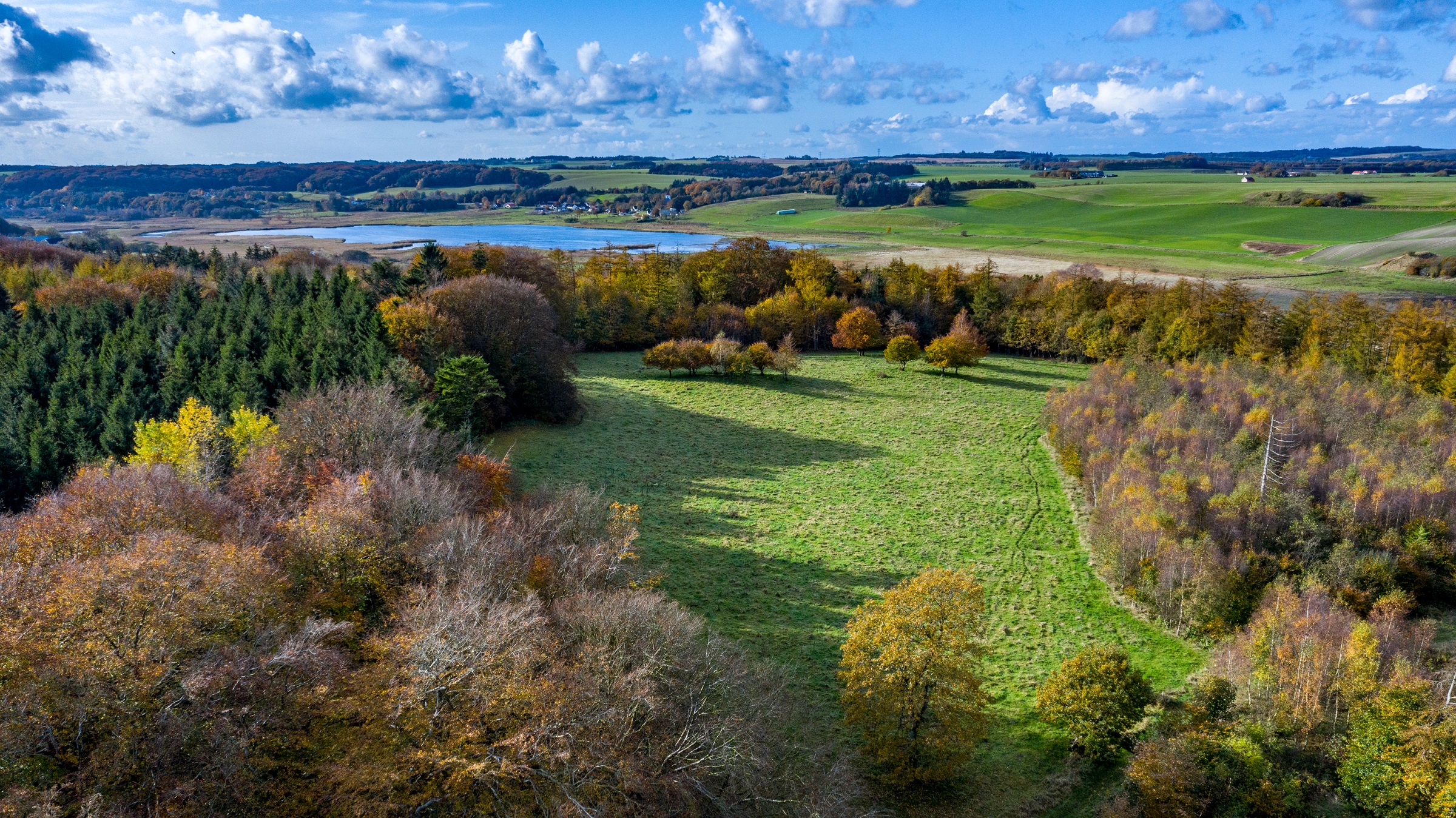 De bijzondere natuur van Nationaal Park Rebild Bakker