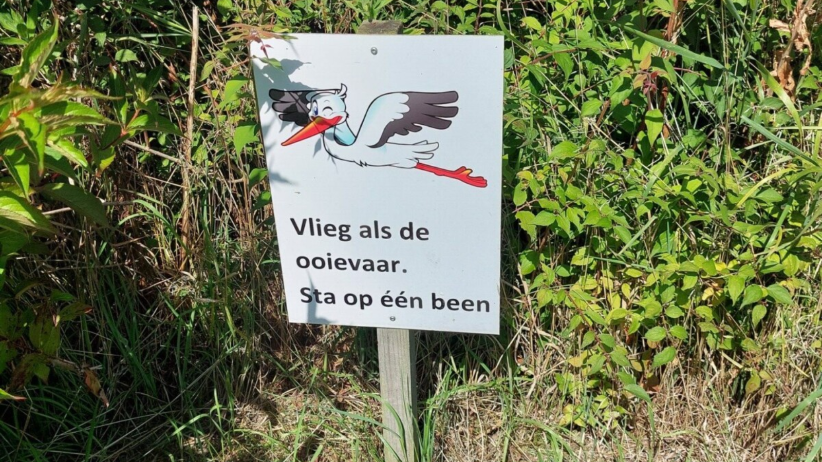 Blotevoetenpad Noord Holland Gouwe Voeten