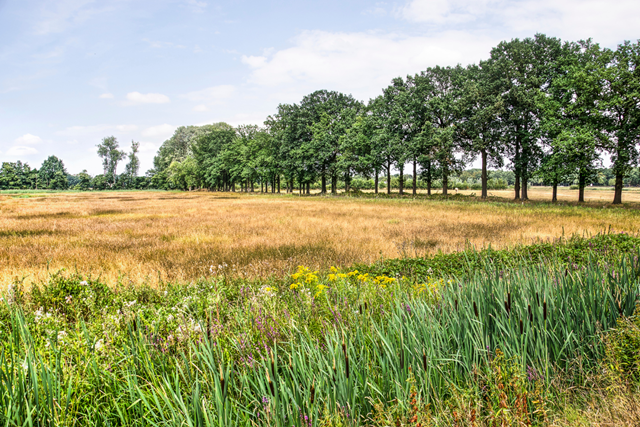 Wandelroute Mastbos Baronie Van Breda Eeuwiglaantje Ven