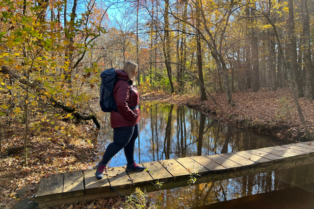 Wandelwoorden Deel 4 Hobbit Hiker: hiken bos