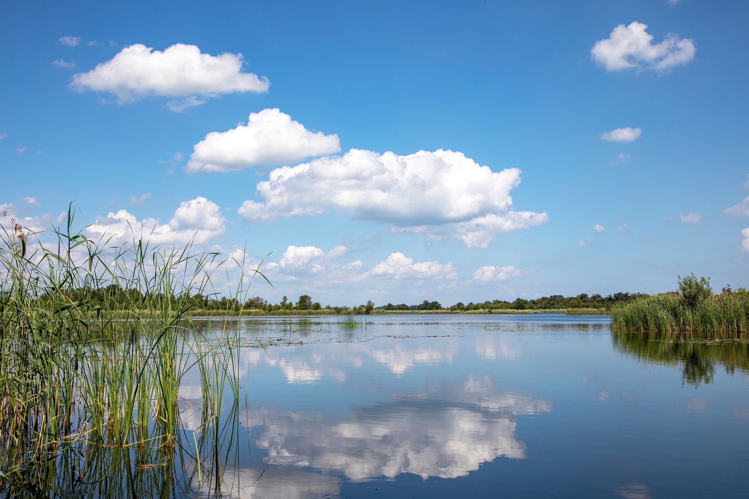 Header Oudste Wandelroute In Nieuw Jasje