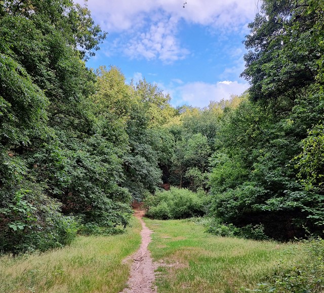Route Zevenheuvelenhike