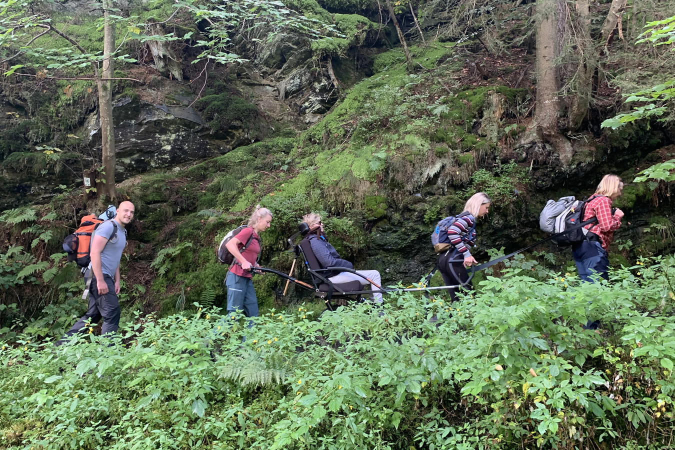 afbeeldingen van wandelaars in de natuur, met een off-road rolstoel.